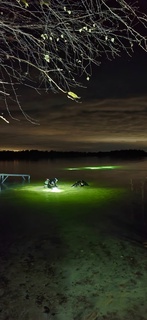 Nachttauchen am Grienbergsee